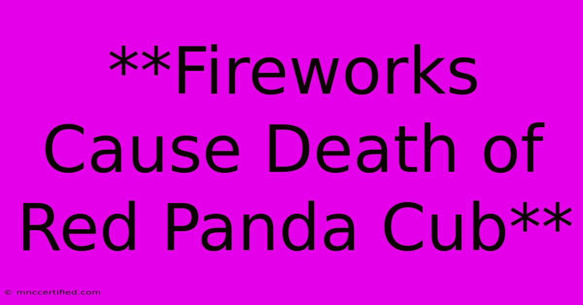 **Fireworks Cause Death Of Red Panda Cub**