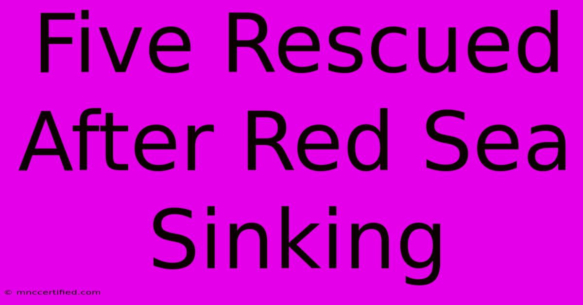 Five Rescued After Red Sea Sinking