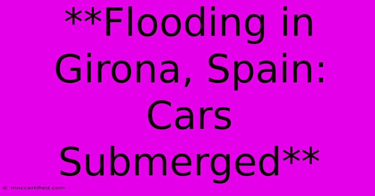 **Flooding In Girona, Spain: Cars Submerged**