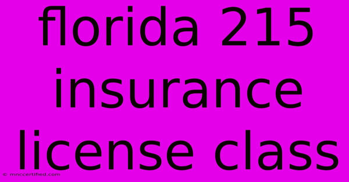 Florida 215 Insurance License Class