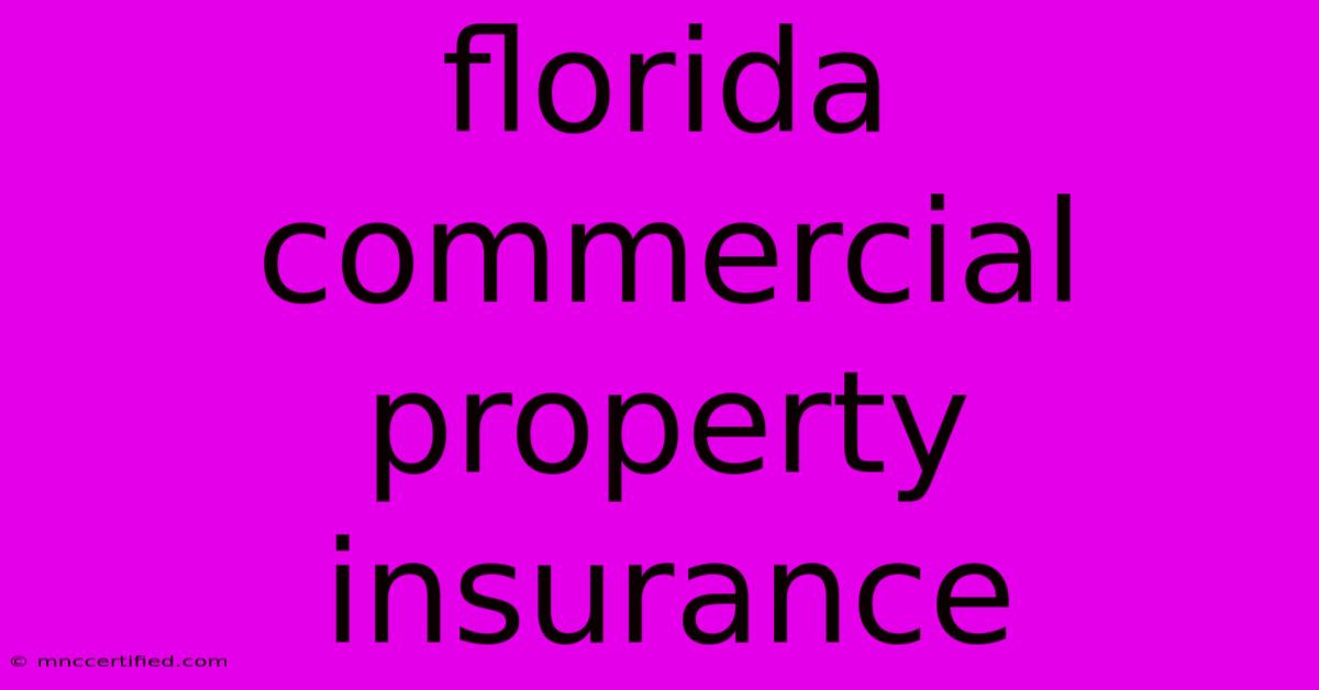 Florida Commercial Property Insurance