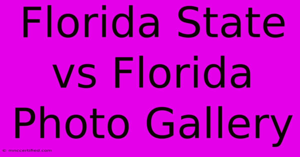 Florida State Vs Florida Photo Gallery