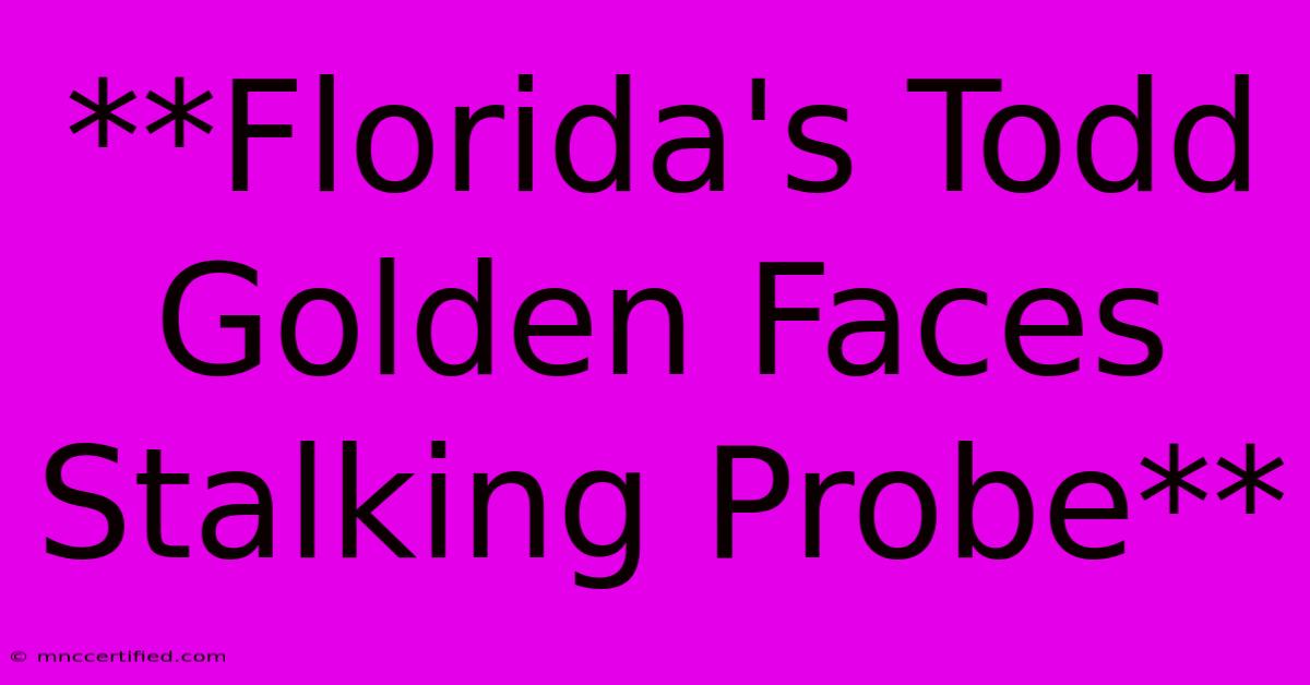 **Florida's Todd Golden Faces Stalking Probe**