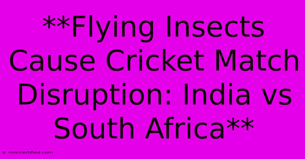 **Flying Insects Cause Cricket Match Disruption: India Vs South Africa**