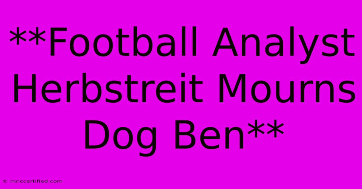 **Football Analyst Herbstreit Mourns Dog Ben**