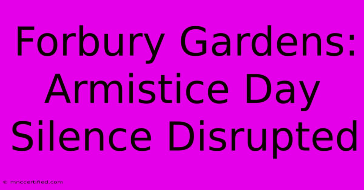 Forbury Gardens: Armistice Day Silence Disrupted