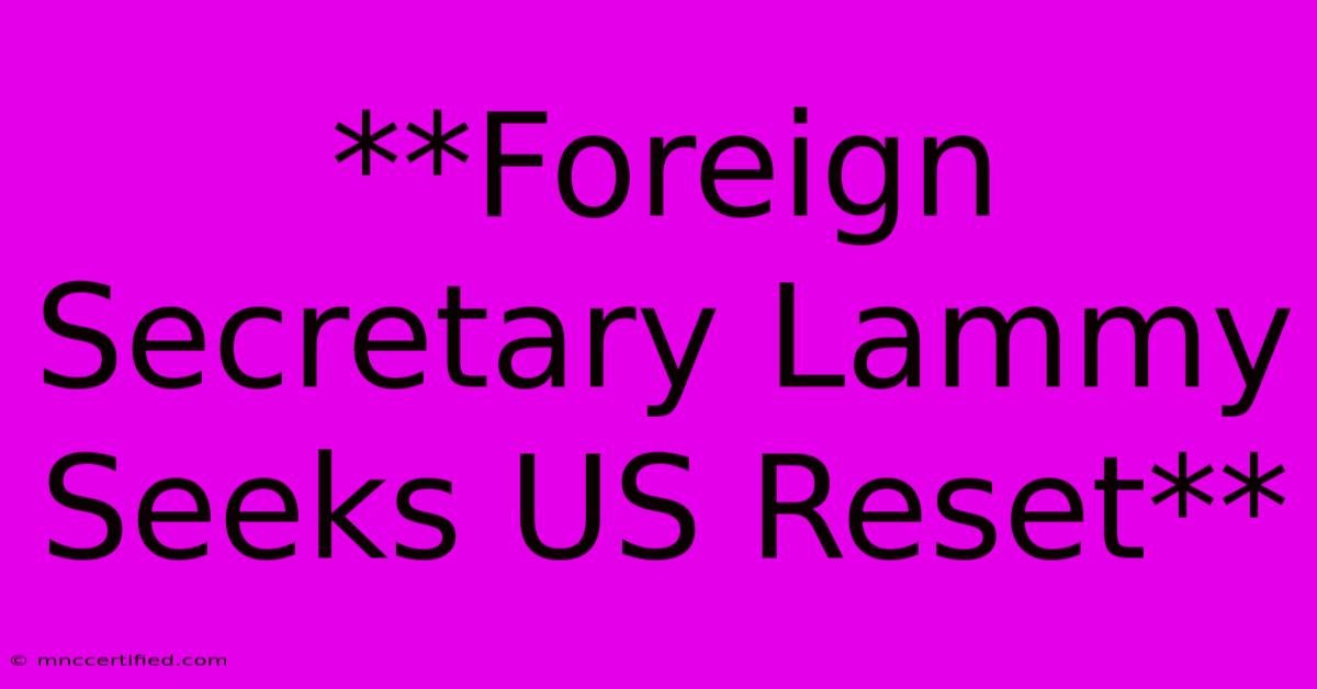 **Foreign Secretary Lammy Seeks US Reset**