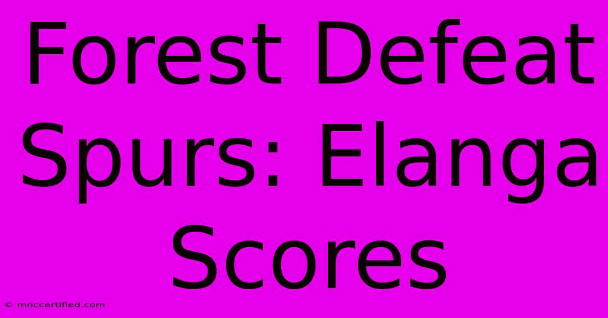 Forest Defeat Spurs: Elanga Scores