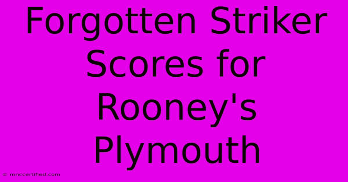 Forgotten Striker Scores For Rooney's Plymouth