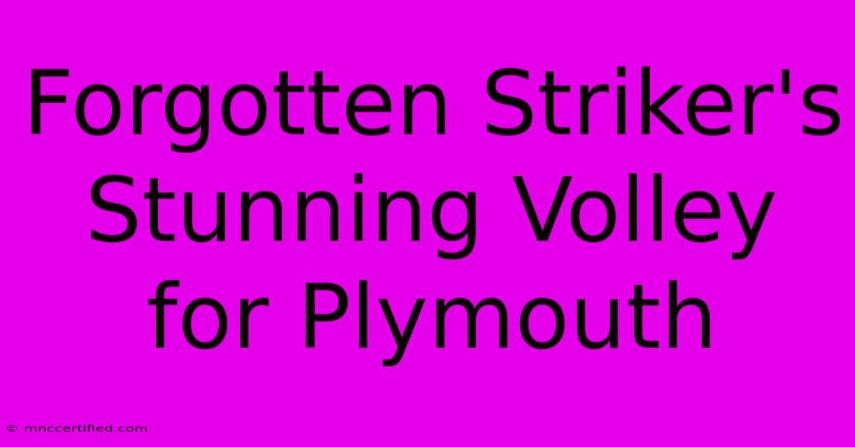 Forgotten Striker's Stunning Volley For Plymouth