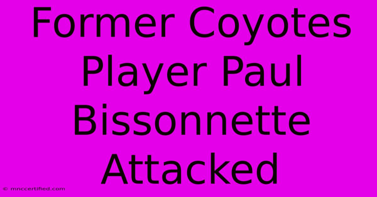 Former Coyotes Player Paul Bissonnette Attacked