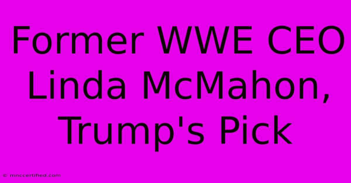 Former WWE CEO Linda McMahon, Trump's Pick