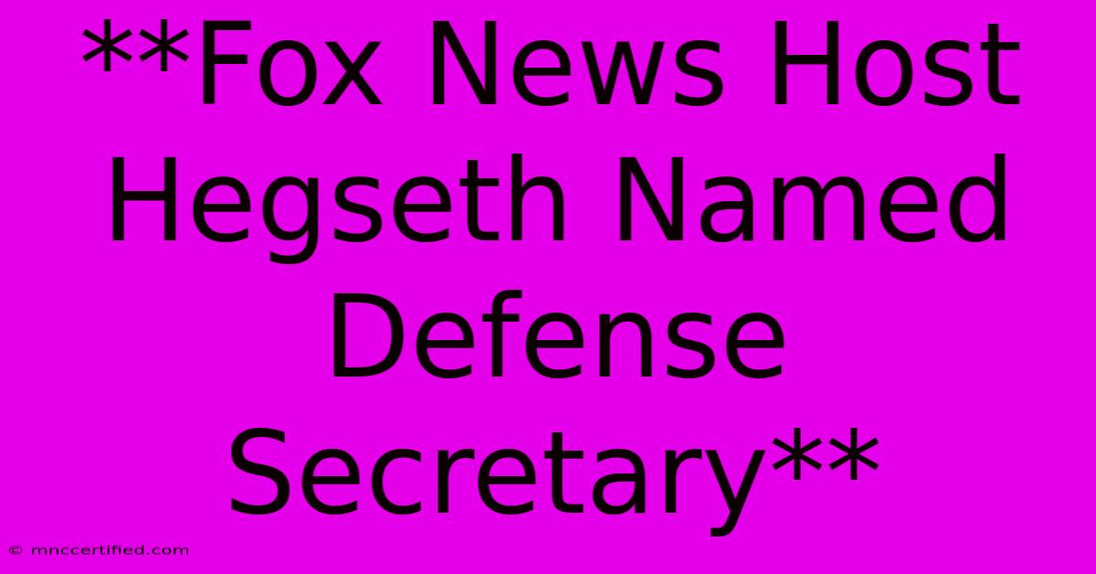 **Fox News Host Hegseth Named Defense Secretary**