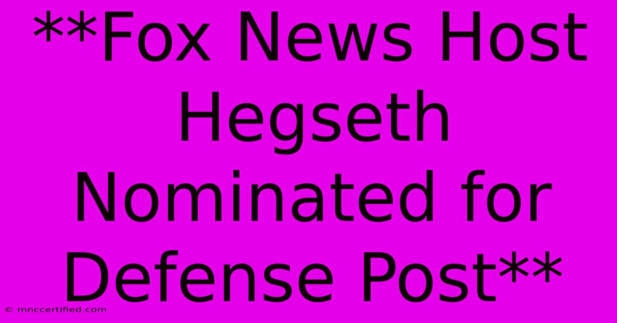 **Fox News Host Hegseth Nominated For Defense Post**