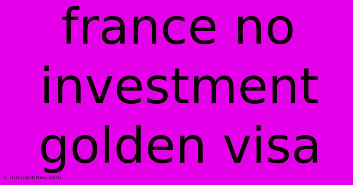 France No Investment Golden Visa