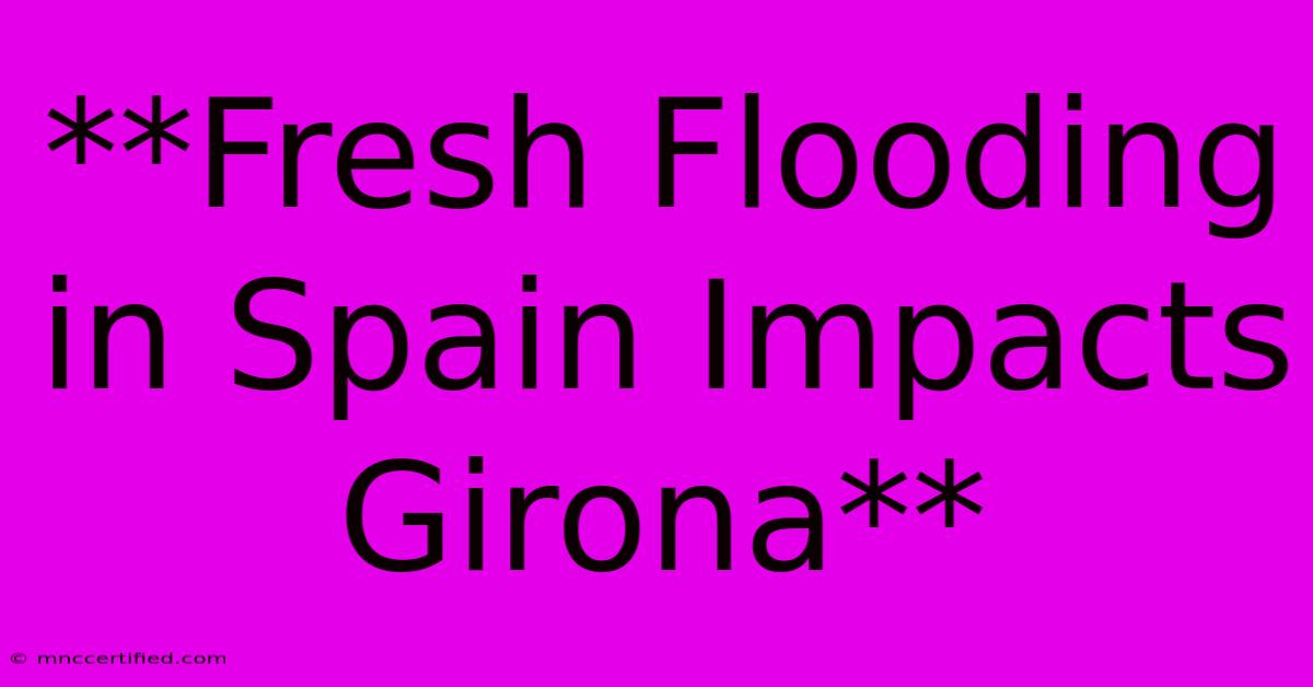 **Fresh Flooding In Spain Impacts Girona**