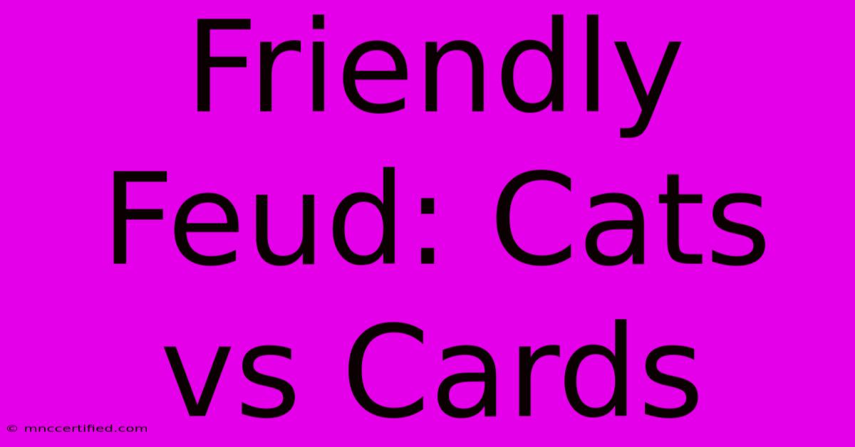 Friendly Feud: Cats Vs Cards