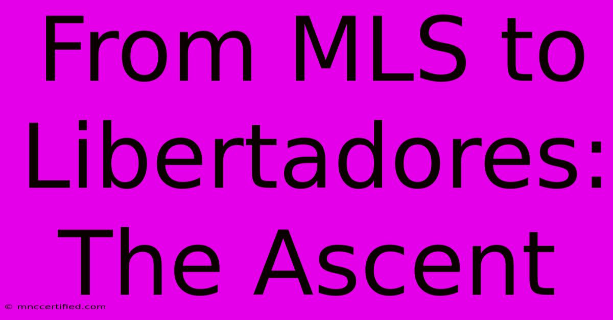 From MLS To Libertadores: The Ascent