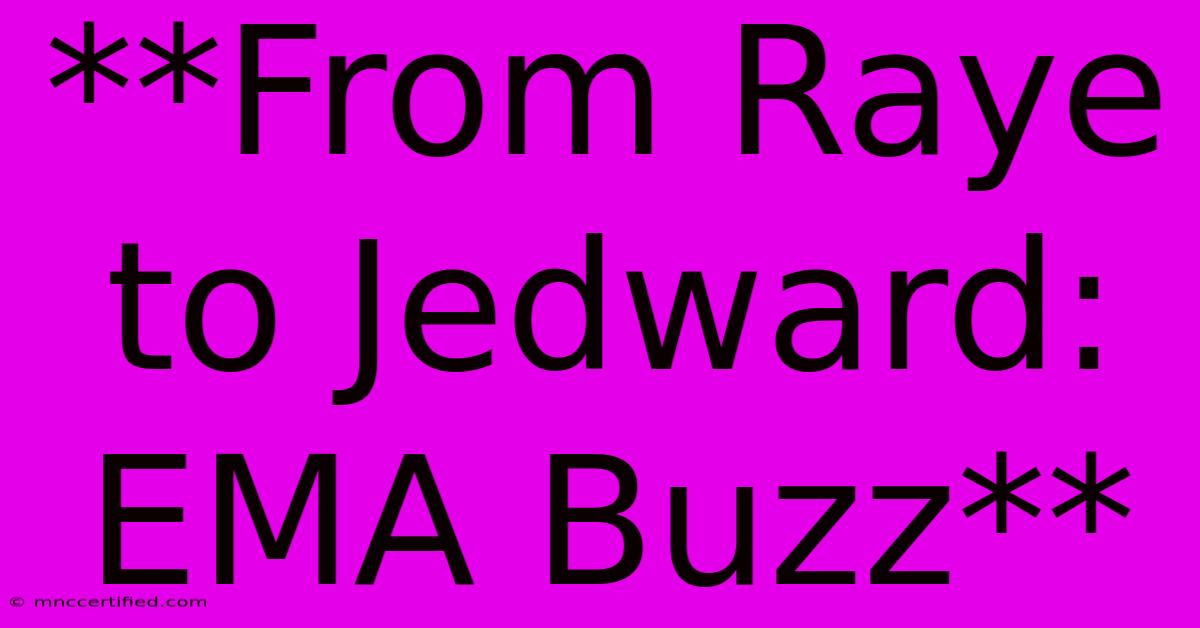 **From Raye To Jedward: EMA Buzz**