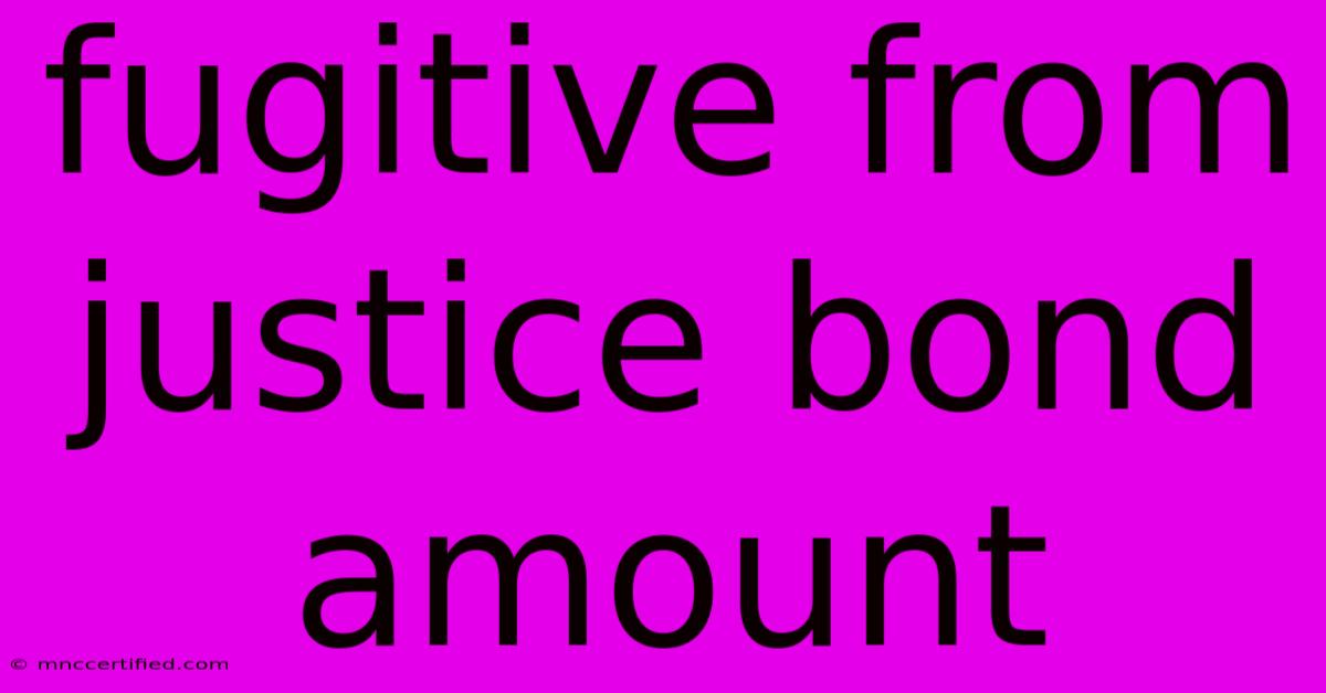 Fugitive From Justice Bond Amount