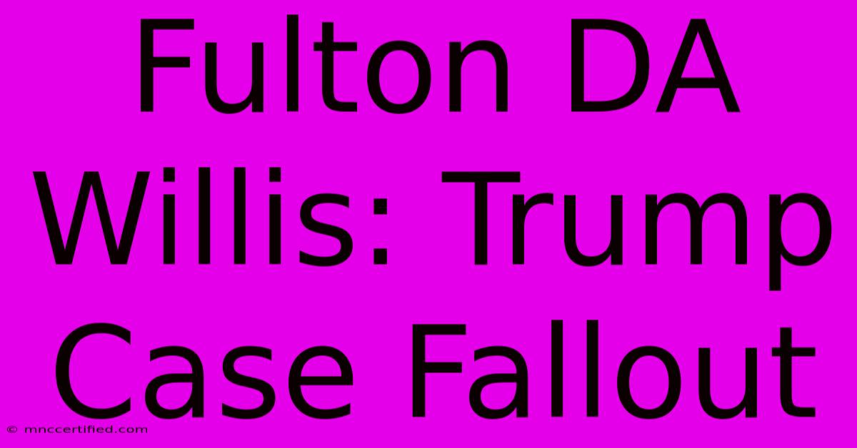 Fulton DA Willis: Trump Case Fallout