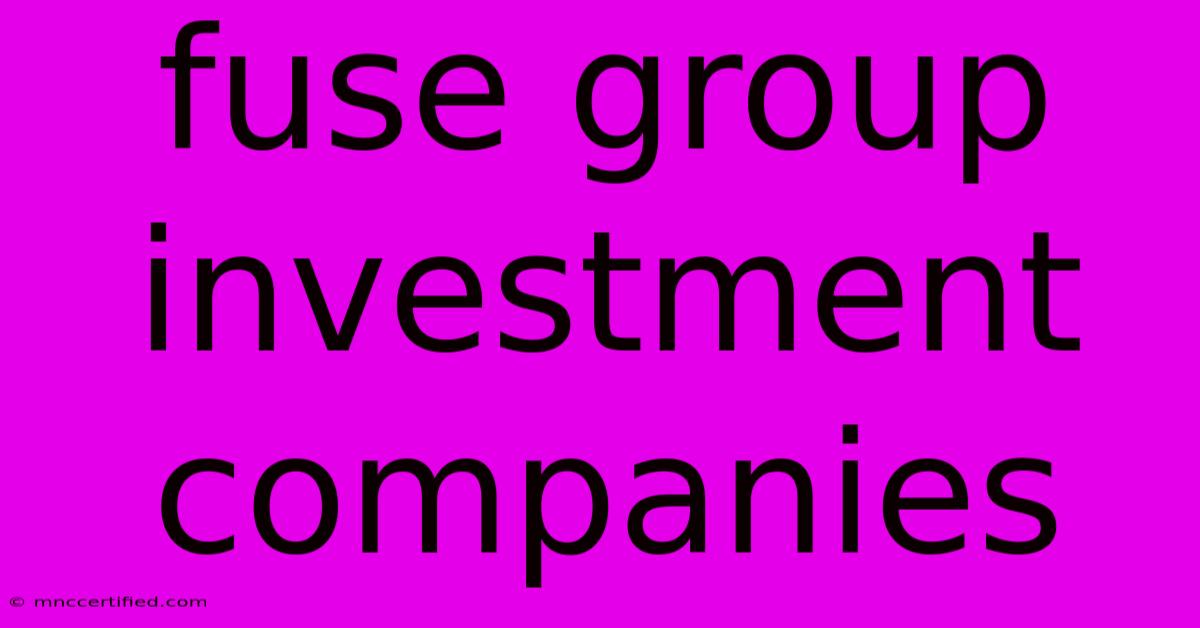 Fuse Group Investment Companies