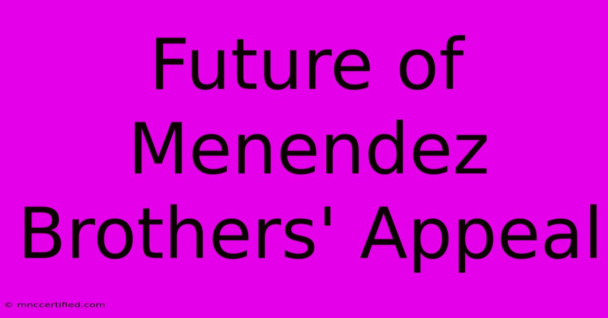 Future Of Menendez Brothers' Appeal