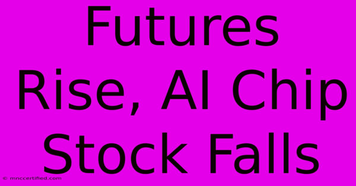 Futures Rise, AI Chip Stock Falls