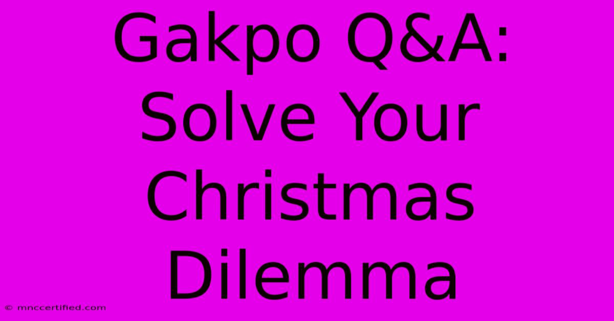 Gakpo Q&A: Solve Your Christmas Dilemma