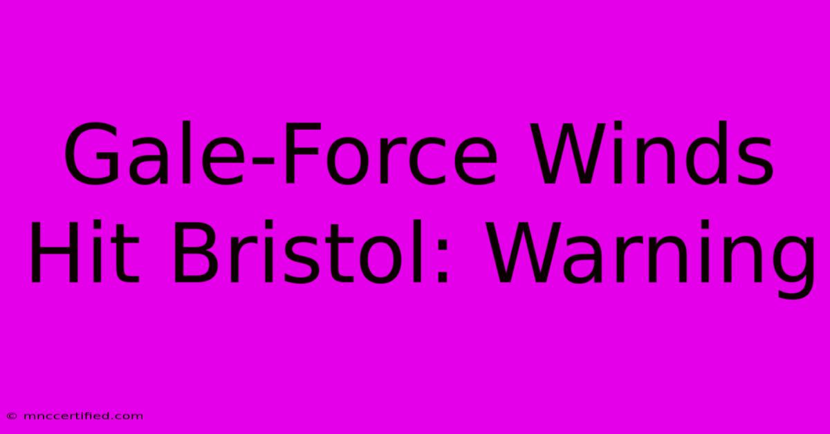 Gale-Force Winds Hit Bristol: Warning