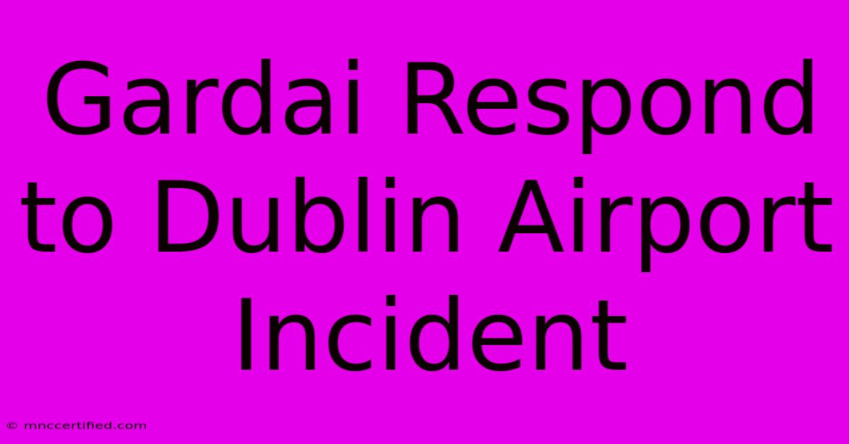 Gardai Respond To Dublin Airport Incident