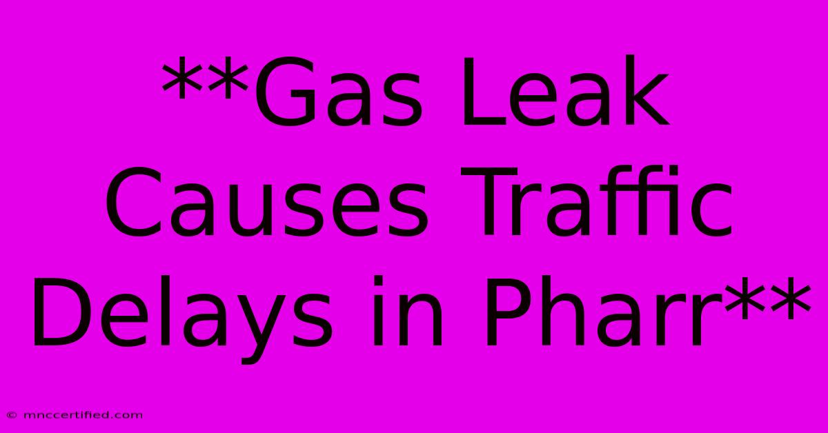 **Gas Leak Causes Traffic Delays In Pharr**