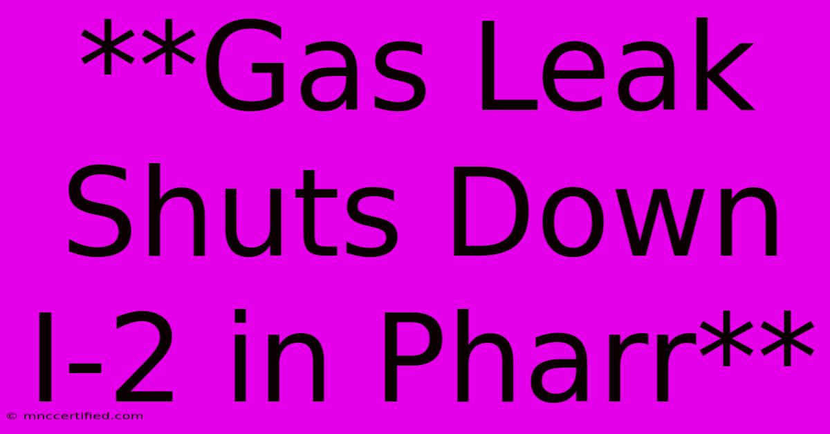 **Gas Leak Shuts Down I-2 In Pharr**