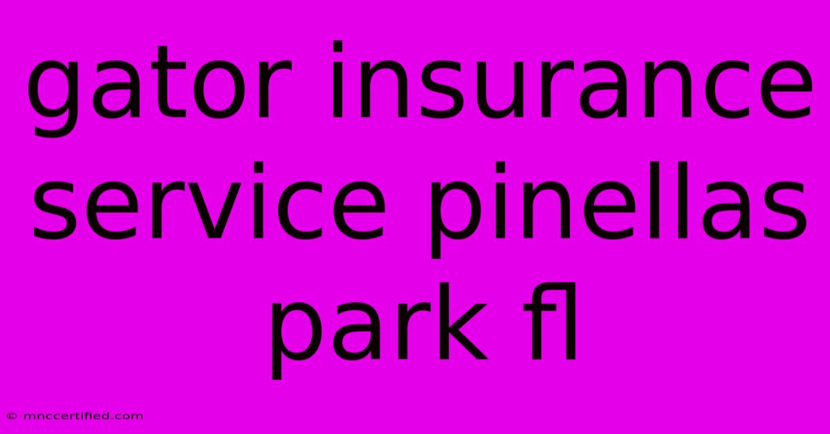 Gator Insurance Service Pinellas Park Fl