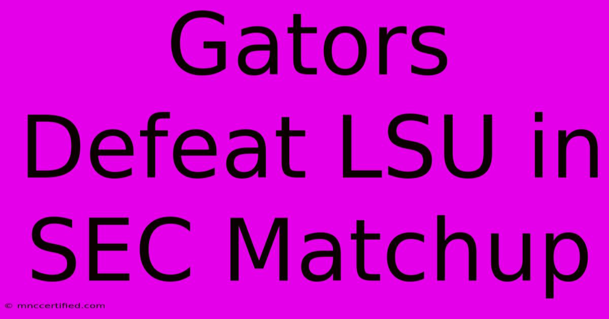 Gators Defeat LSU In SEC Matchup