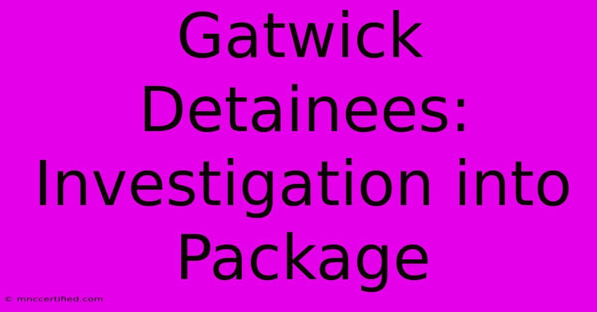 Gatwick Detainees: Investigation Into Package