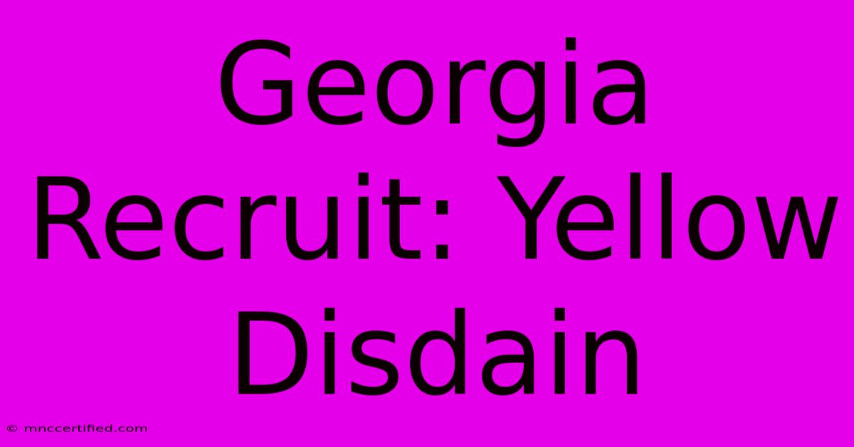 Georgia Recruit: Yellow Disdain