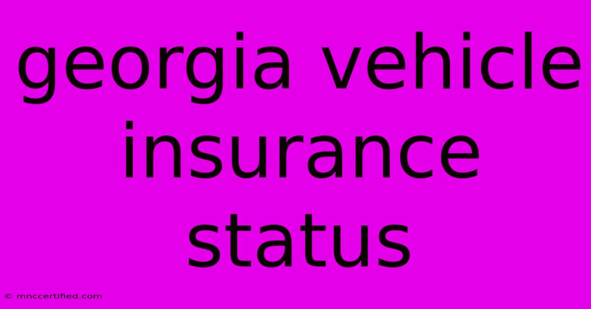 Georgia Vehicle Insurance Status