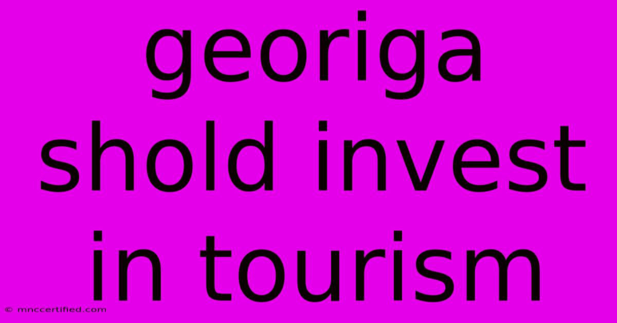 Georiga Shold Invest In Tourism