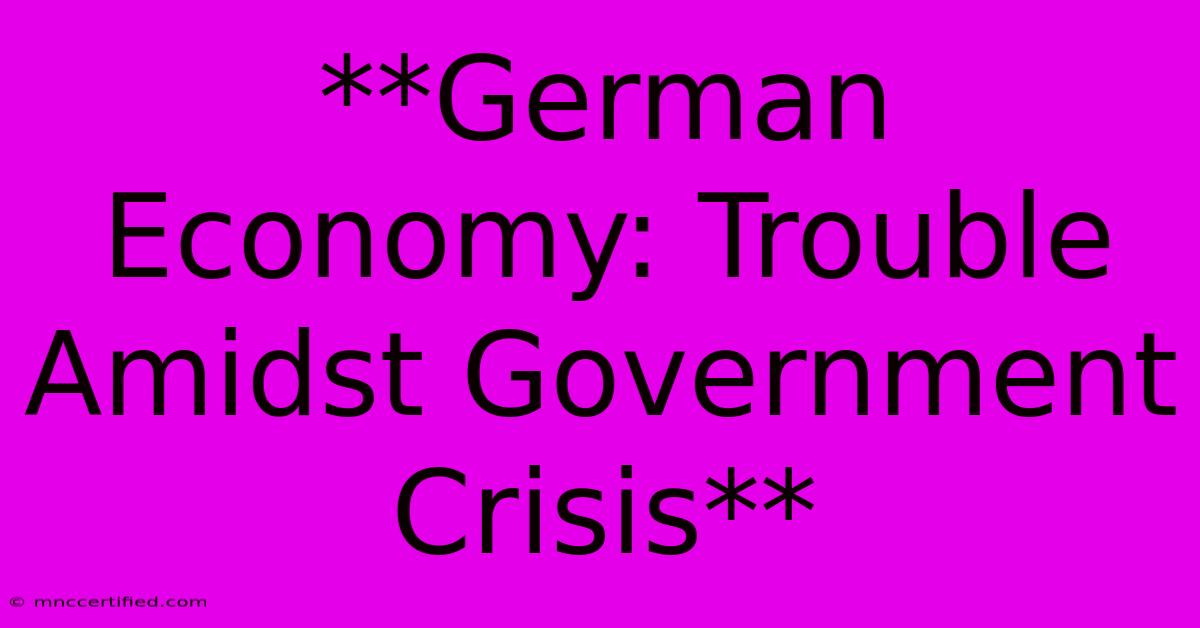 **German Economy: Trouble Amidst Government Crisis**