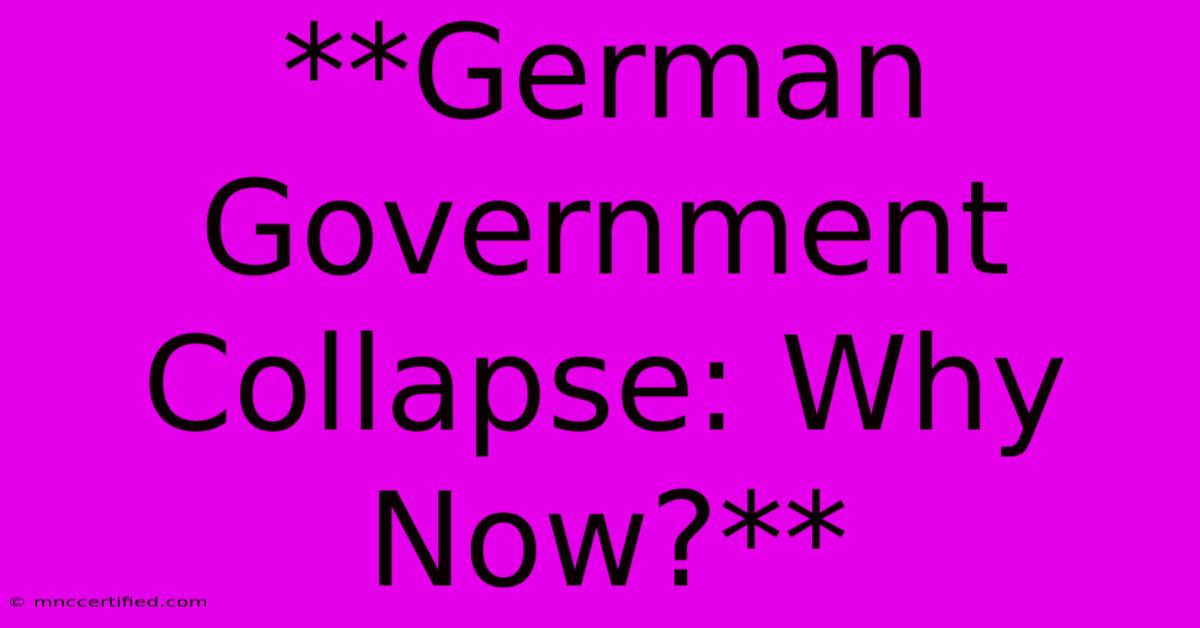 **German Government Collapse: Why Now?** 