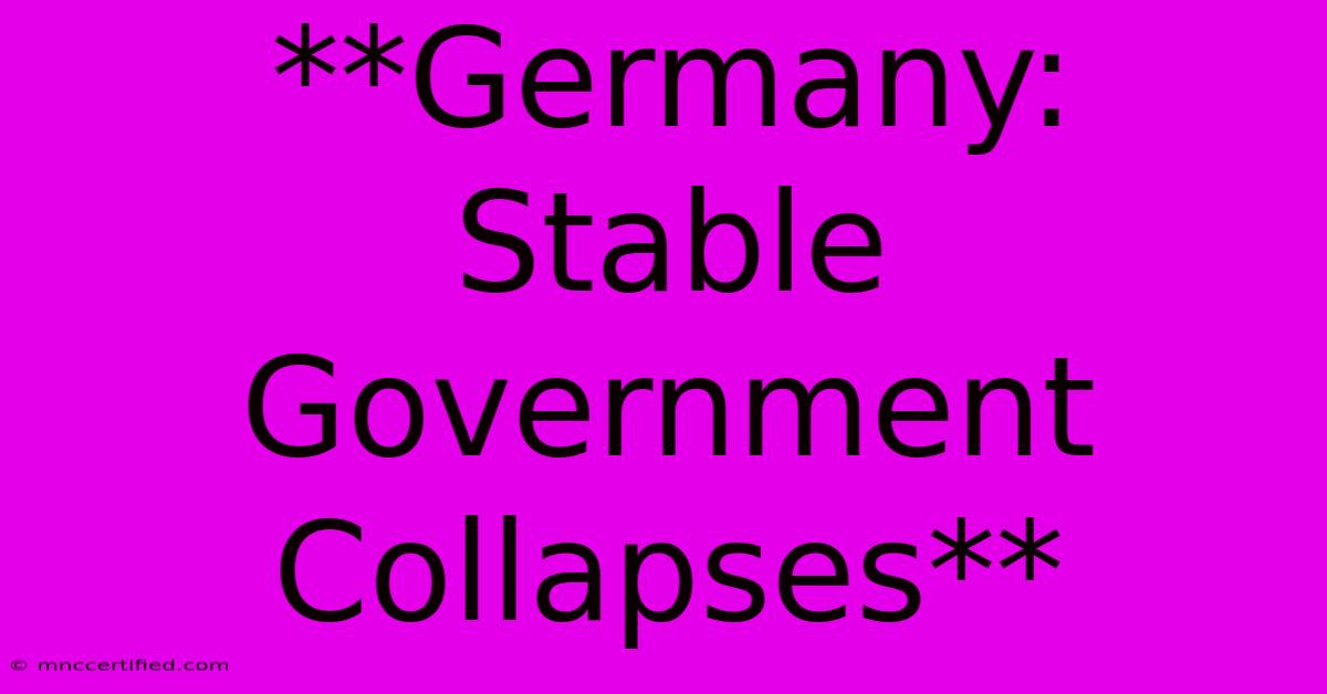 **Germany: Stable Government Collapses** 