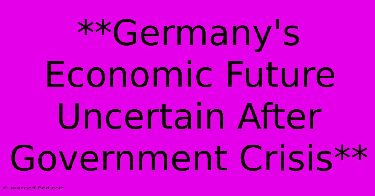 **Germany's Economic Future Uncertain After Government Crisis** 