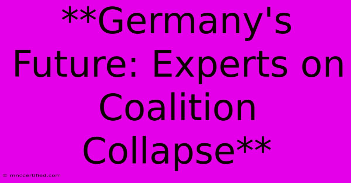 **Germany's Future: Experts On Coalition Collapse**