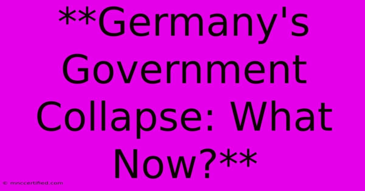 **Germany's Government Collapse: What Now?** 