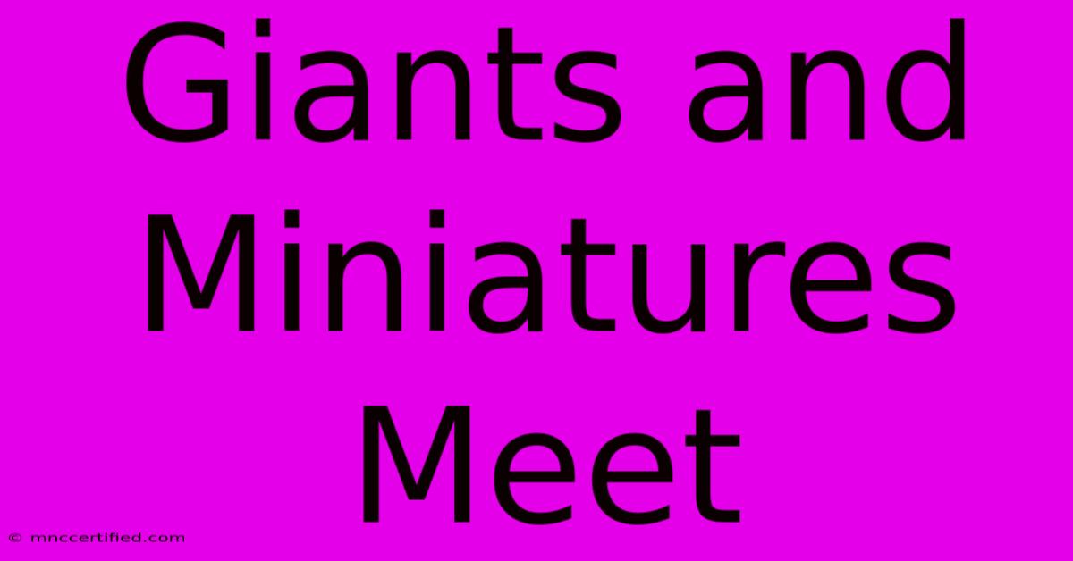 Giants And Miniatures Meet