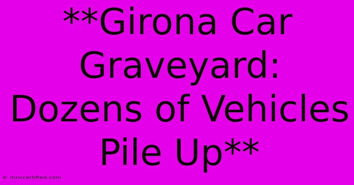 **Girona Car Graveyard: Dozens Of Vehicles Pile Up**