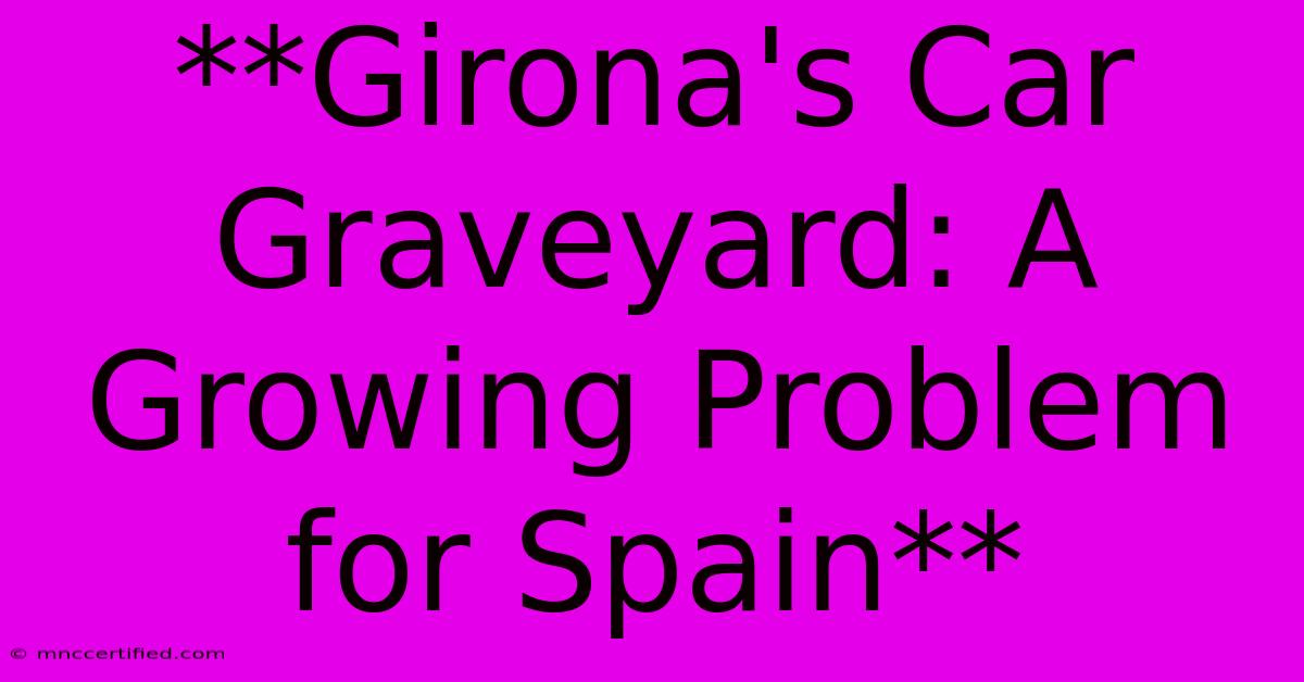 **Girona's Car Graveyard: A Growing Problem For Spain**