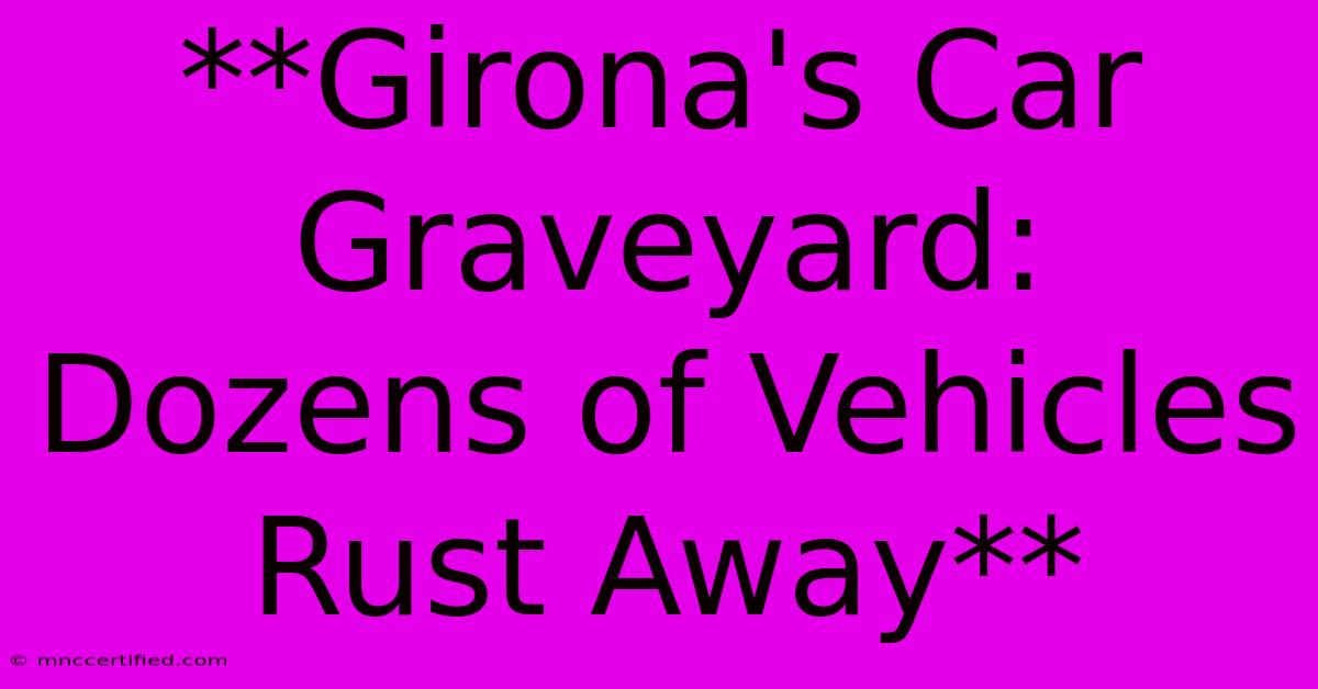 **Girona's Car Graveyard: Dozens Of Vehicles Rust Away** 