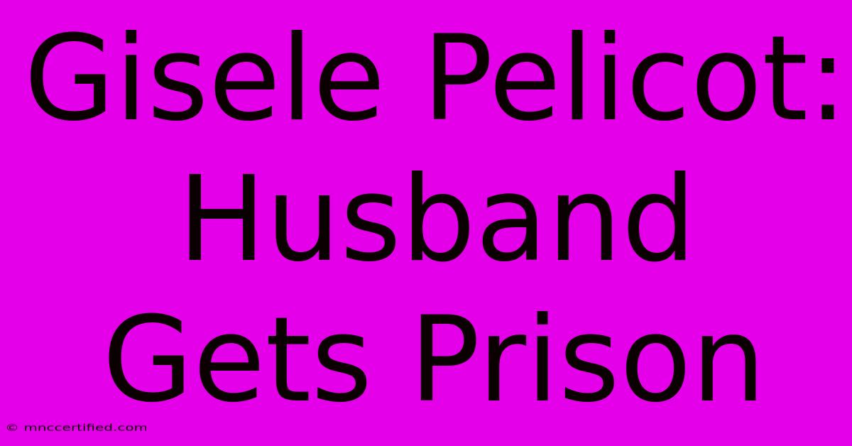 Gisele Pelicot: Husband Gets Prison